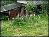 080609_PICT0049.JPG