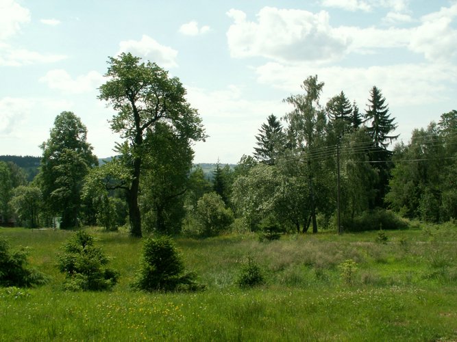 080607_PICT0005.JPG