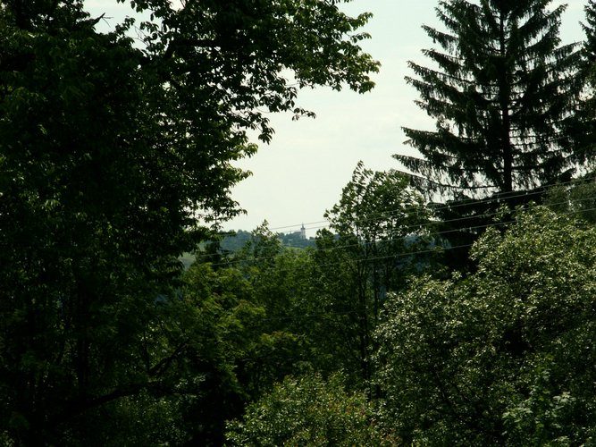 080607_PICT0037.JPG