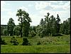 080607_PICT0005.JPG