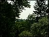 080607_PICT0037.JPG