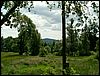 080607_PICT0038.JPG