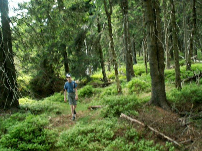 080607b_PICT0022.JPG