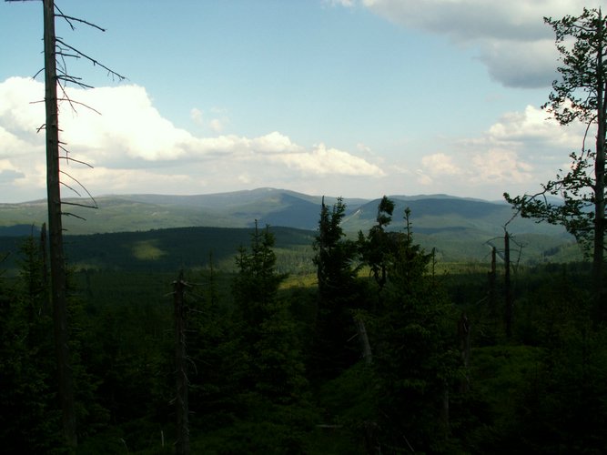 080607b_PICT0023.JPG