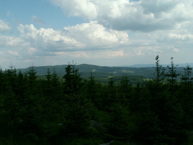 080607b_PICT0037.JPG