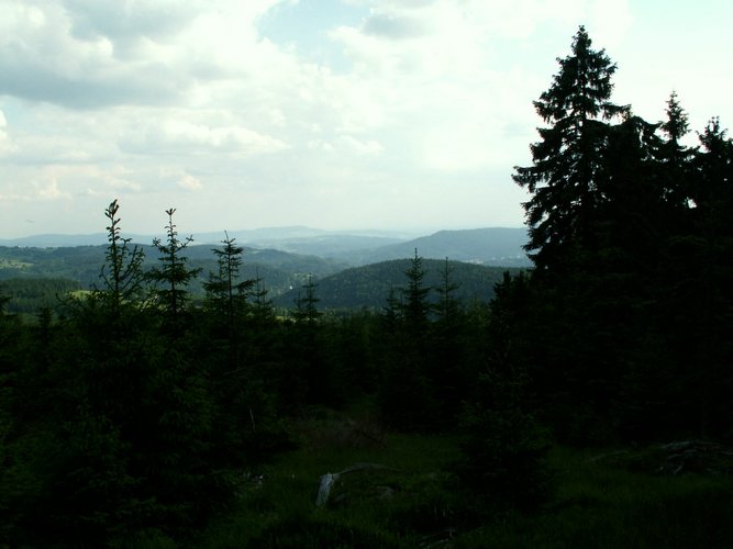 080607b_PICT0038.JPG