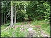 080607b_PICT0013.JPG