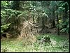 080607b_PICT0018.JPG