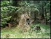080607b_PICT0019.JPG