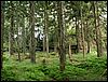 080607b_PICT0021.JPG
