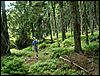 080607b_PICT0022.JPG