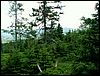 080607b_PICT0026.JPG