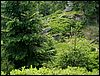 080607b_PICT0029.JPG