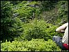 080607b_PICT0032.JPG