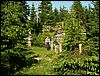 080607b_PICT0033.JPG