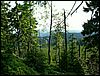 080607b_PICT0034.JPG