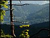 080607b_PICT0035.JPG