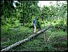 080607b_PICT0040.JPG