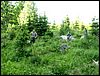 080607b_PICT0044.JPG