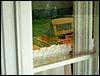 080607b_PICT0053.JPG