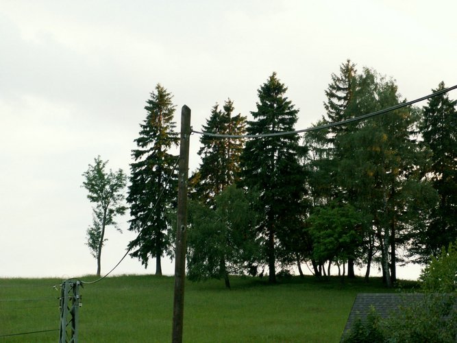 080611_PICT0023.JPG