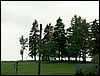 080611_PICT0023.JPG