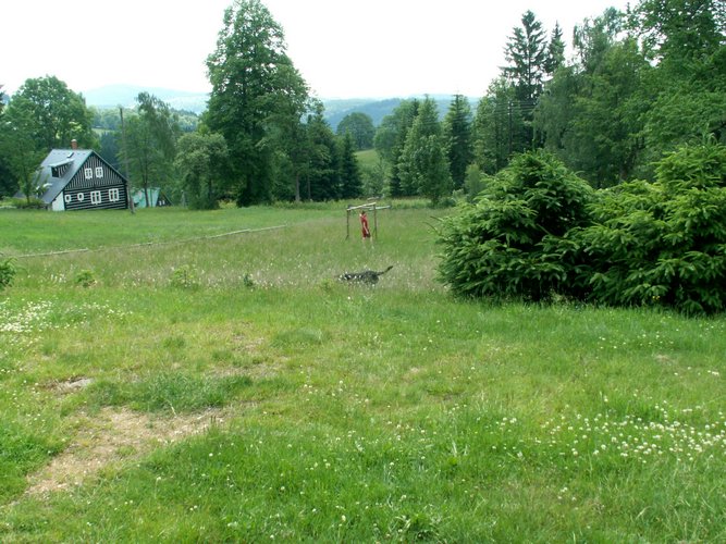 080610_PICT0008.JPG