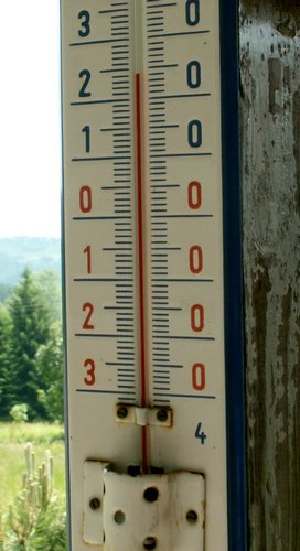 080610_PICT0016.JPG