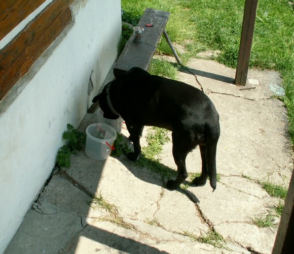 080610_PICT0020.JPG