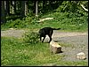080610_PICT0004.JPG