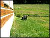 080610_PICT0007.JPG