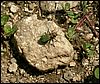 080610_PICT0013.JPG