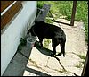 080610_PICT0020.JPG