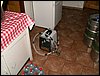 090606_PICT0013.JPG