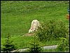 090606_PICT0034.JPG
