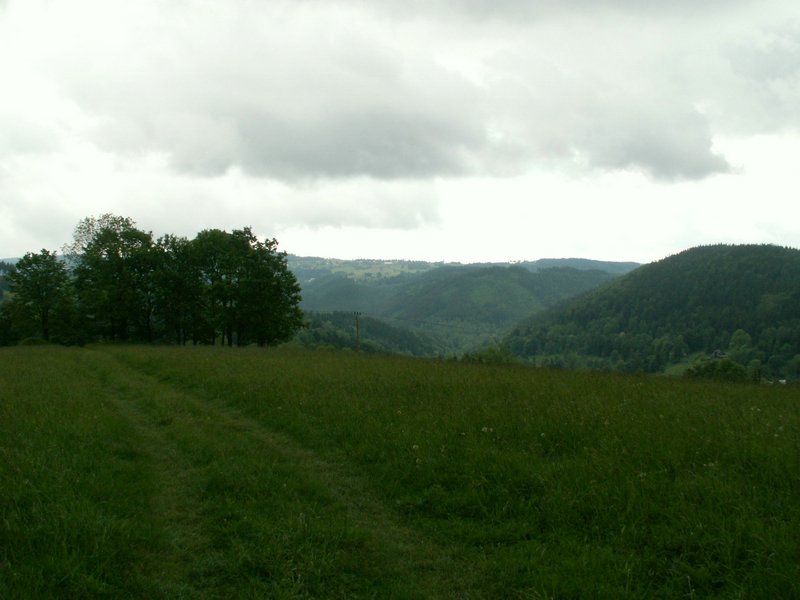 090607_PICT0017.JPG
