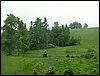 090607_PICT0001.JPG