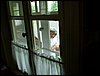 090607_PICT0012.JPG