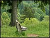 090607_PICT0019.JPG