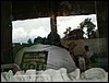 090607_PICT0077.JPG