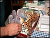 090607_PICT0082.JPG