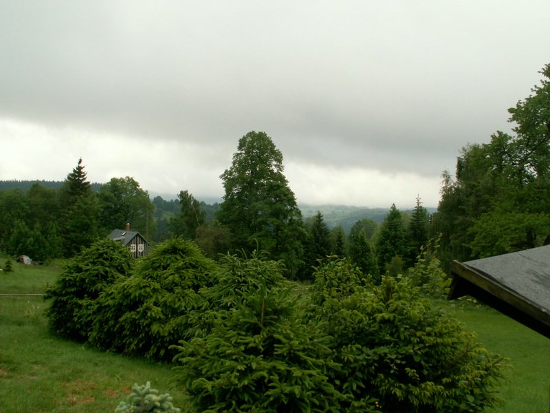 090608_PICT0002.JPG