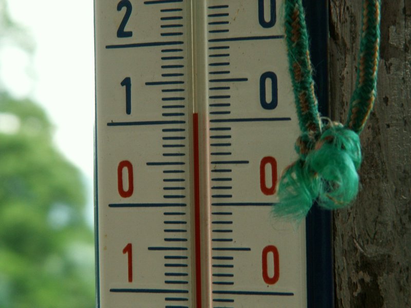 090608_PICT0006.JPG