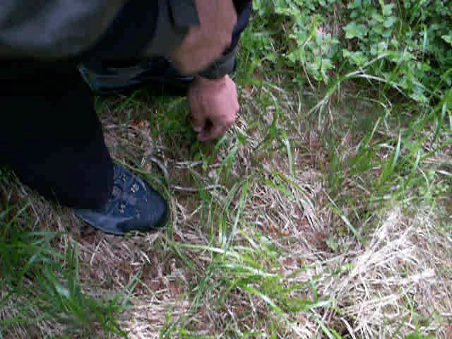 090608_PICT0014.jpg