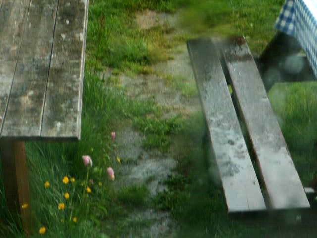 090608_PICT0027.jpg