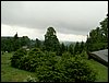 090608_PICT0002.JPG