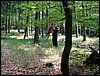 090608_PICT0015.JPG