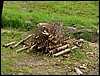 090608_PICT0023.JPG