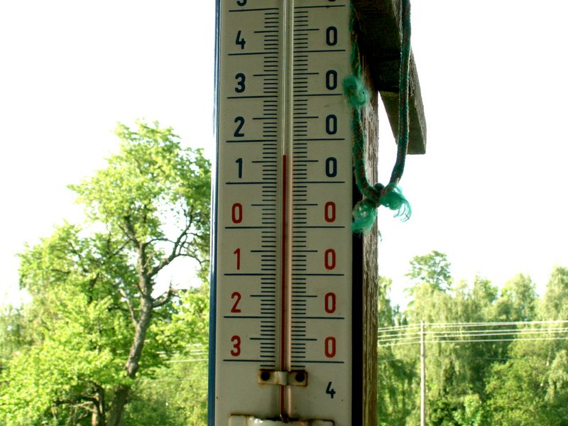 090609_PICT0002.JPG