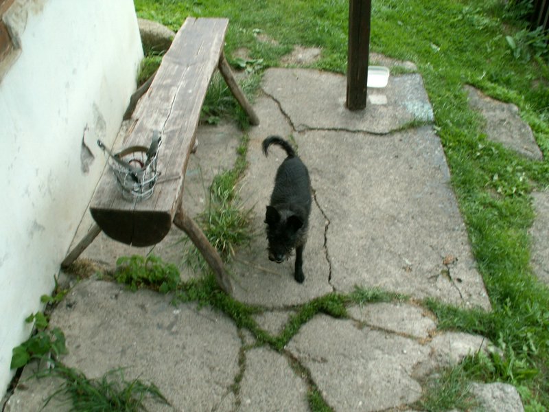 090609_PICT0007.JPG